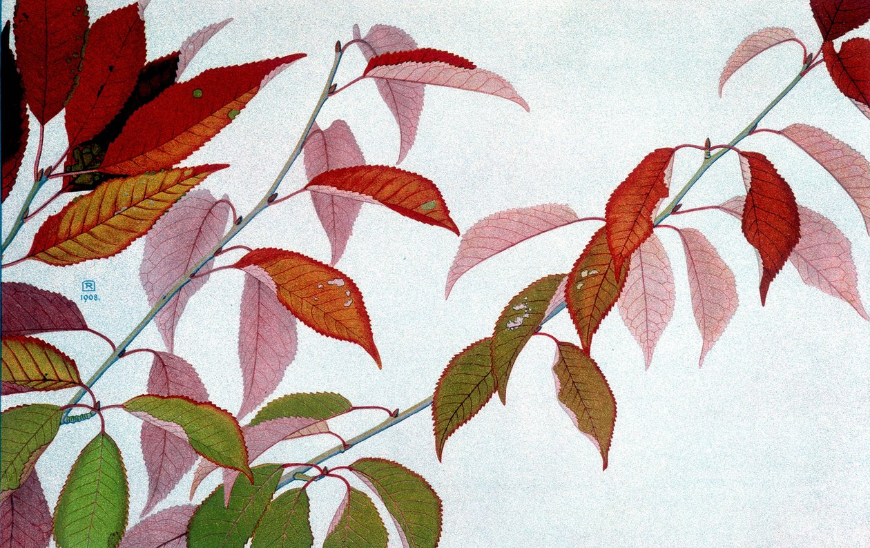 Autumn Leaves, av Philippe Robert, Robert Ried-utgaver av Philippe Robert