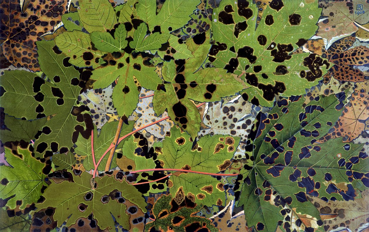 Autumn Leaves, av Philippe Robert, Robert Ried-utgaver av Philippe Robert