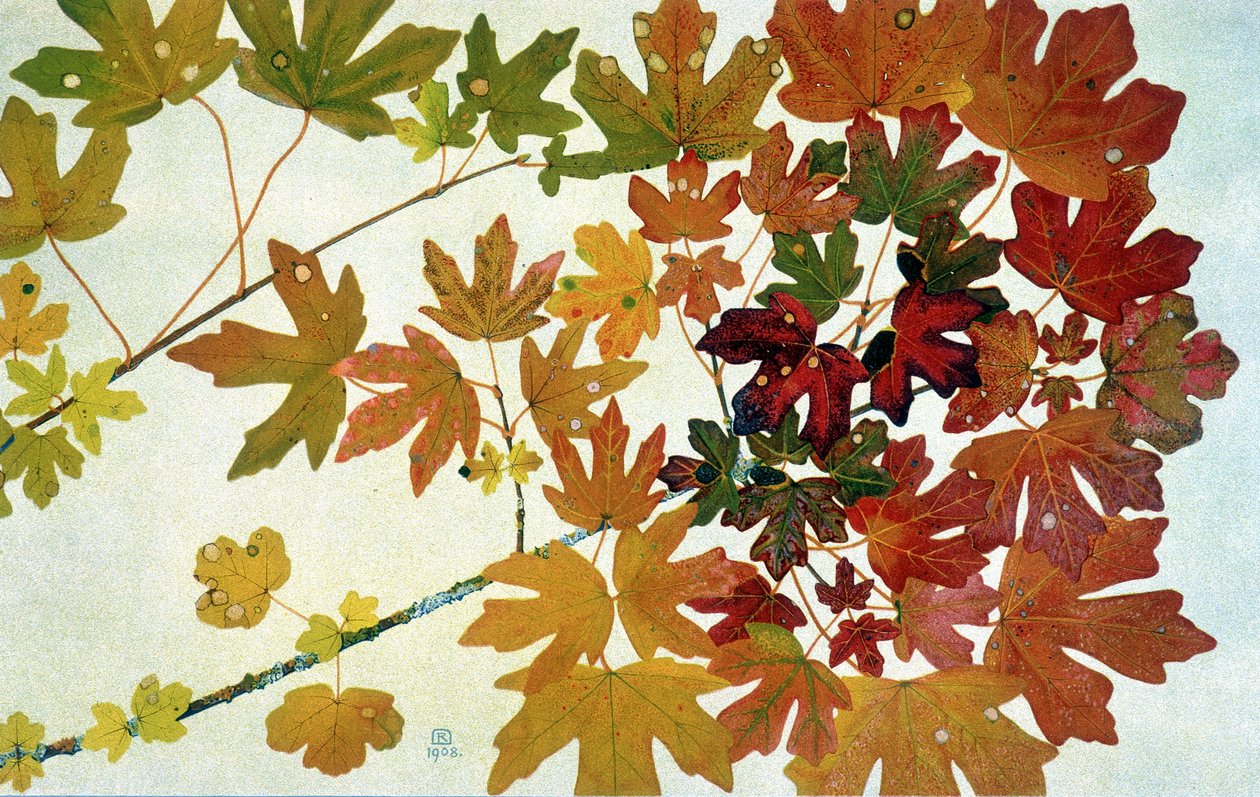 Autumn Leaves, av Philippe Robert, Robert Ried-utgaver av Philippe Robert