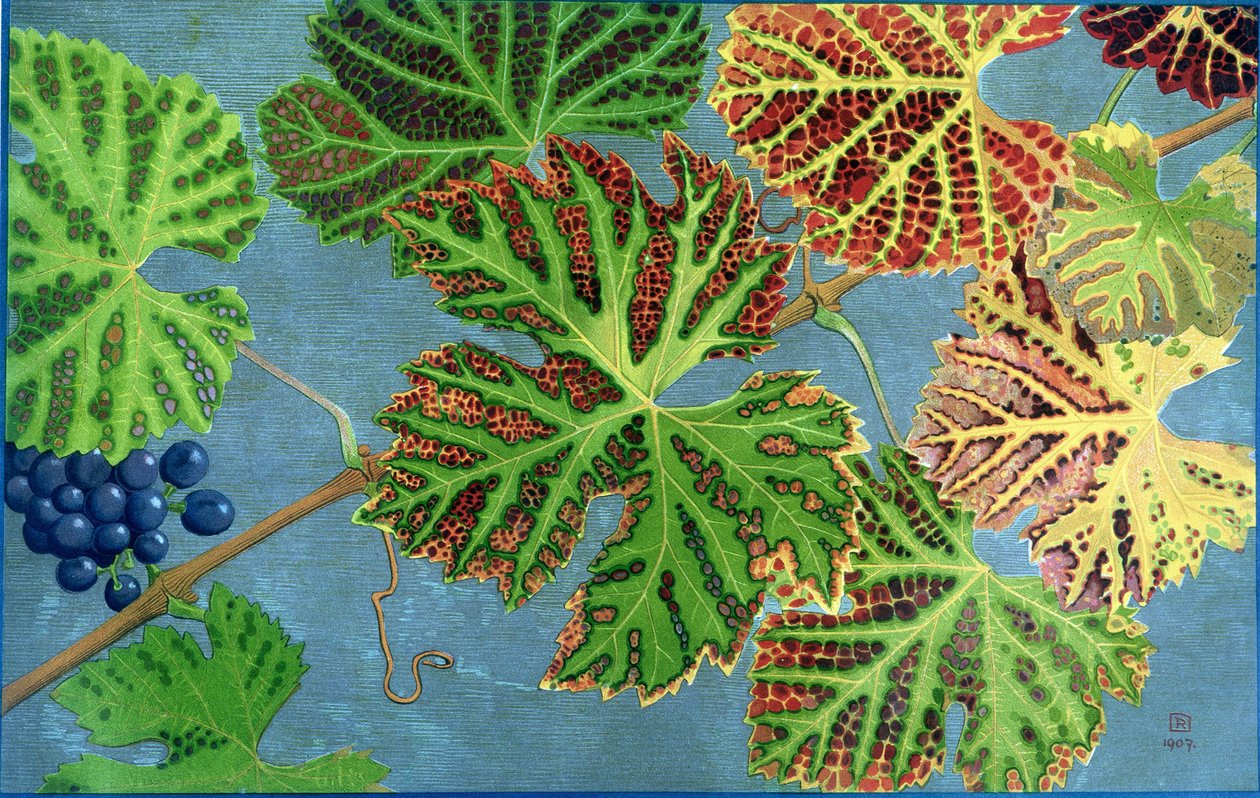 Autumn Leaves, av Philippe Robert, Robert Ried-utgaver av Philippe Robert