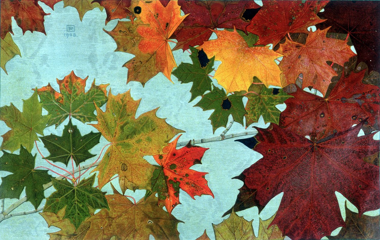 Autumn Leaves, av Philippe Robert, Robert Ried-utgaver av Philippe Robert