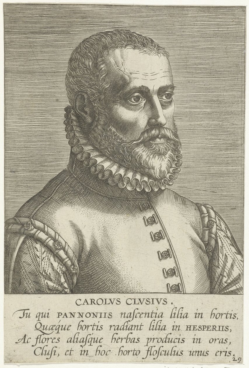 Portrett av Carolus Clusius av Philips Galle