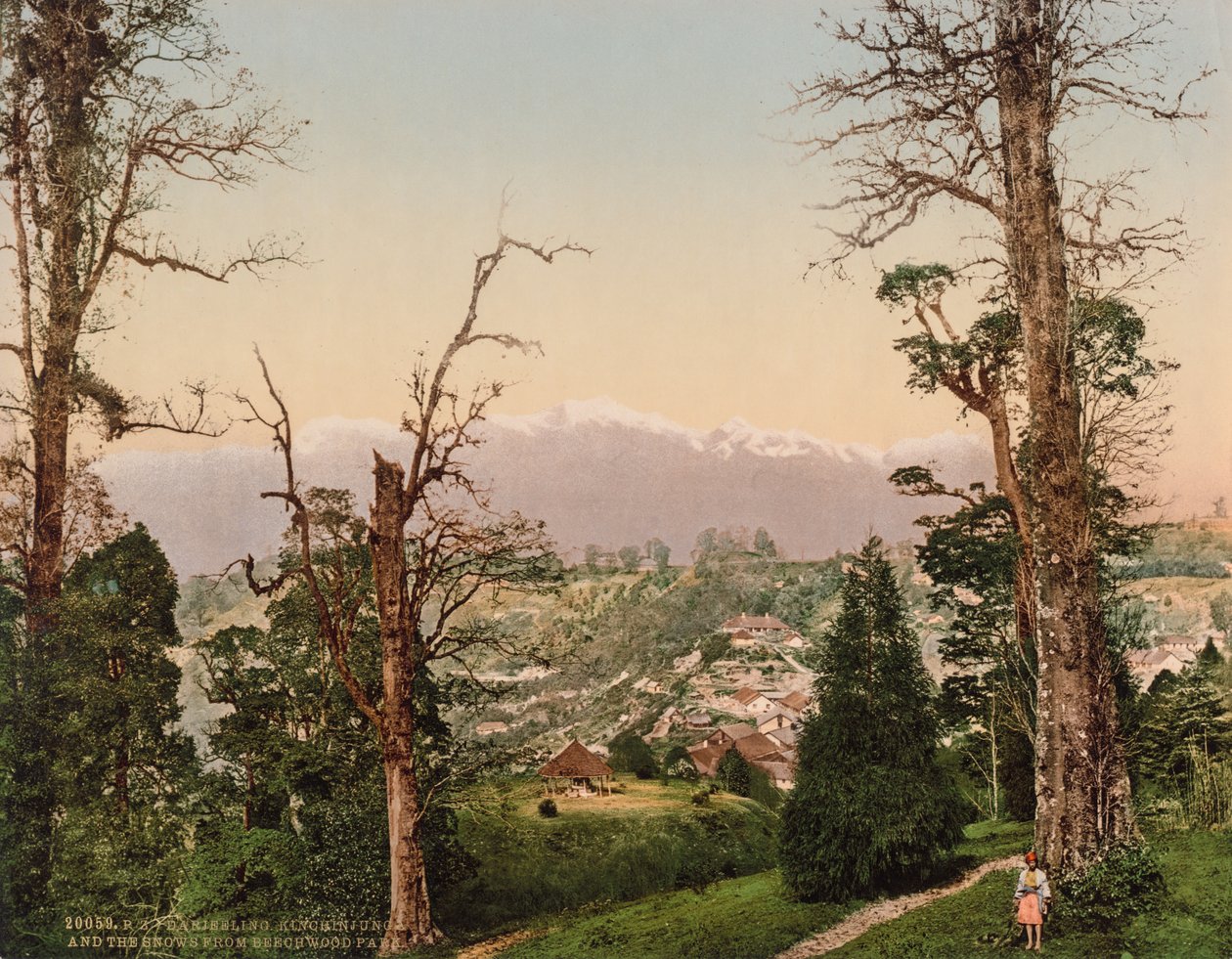 Darjeeling. Kinchinjunga og snøen fra Beechwood Park av Photoglob Co. (Zurich, active c. 1890 1910)