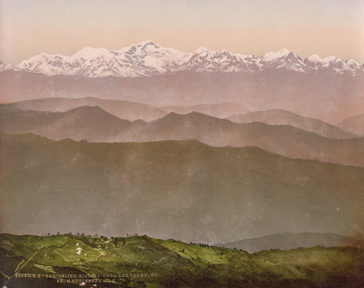 Darjeeling. Kinchinjunga and the Snows fra Kutcherry Hill av Photoglob Co. (Zurich, active c. 1890 1910)