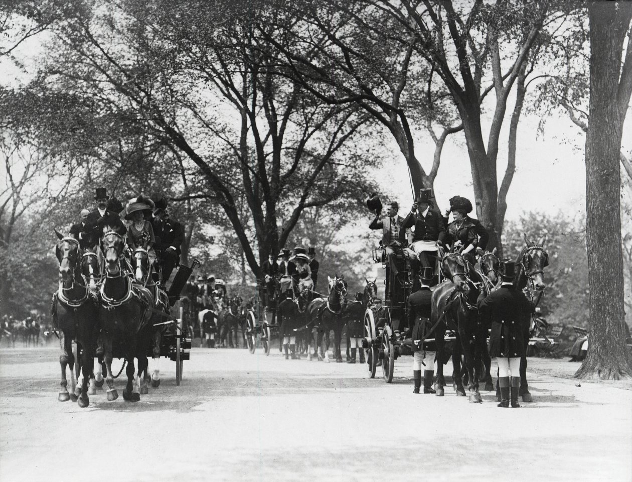 Coaching, Central Park (s/hvitt bilde) av Photographer American