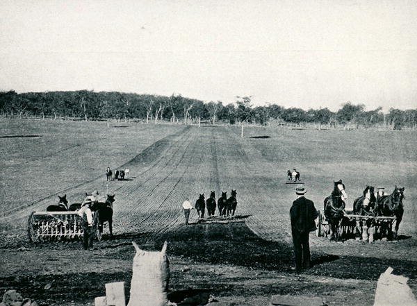 Lære å bore og rulle ved Dookie Agricultural College, Victoria, ca. 1900, fra `Under the Southern Cross - Glimpses of Australia