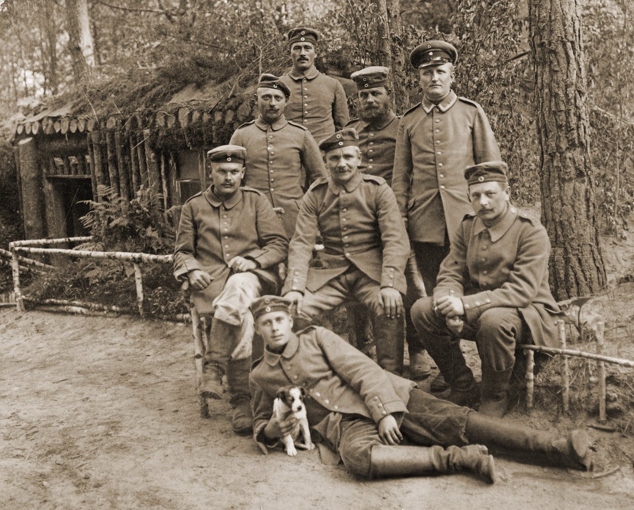 Gruppe tyske soldater med en hund av Photographer German