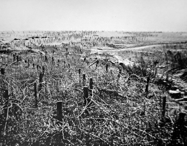 WWI piggtrådforsvar av den tyske Beaurevoir-posisjonen, en del av Hindenburg-linjen av Photographer German