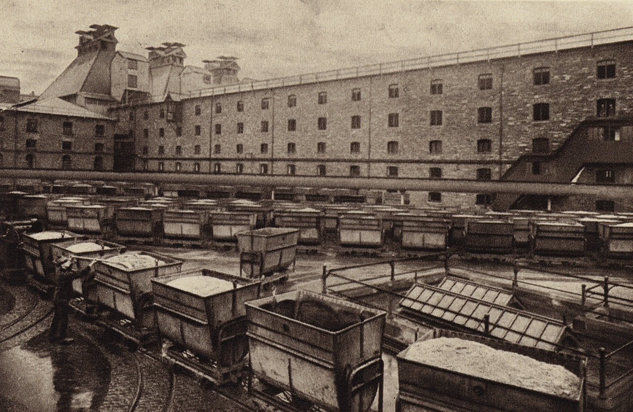 Malthus, St. James#39;s Gate Brewery, Dublin (s/h-bilde) av Photographer Irish