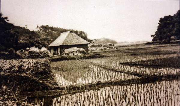 Rismarker i Japan av Photographer Japanese