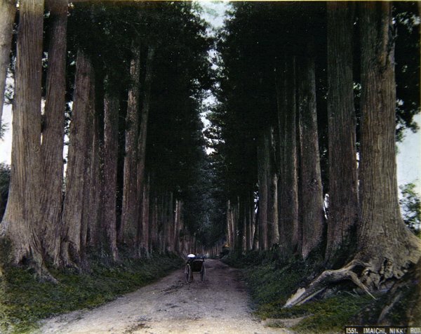 Rickshaw på en allé ved Nikko, ca. 1900 (farget bilde) av Photographer Japanese