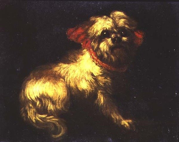 En maltesisk terrier av Pier Francesco Cittadini
