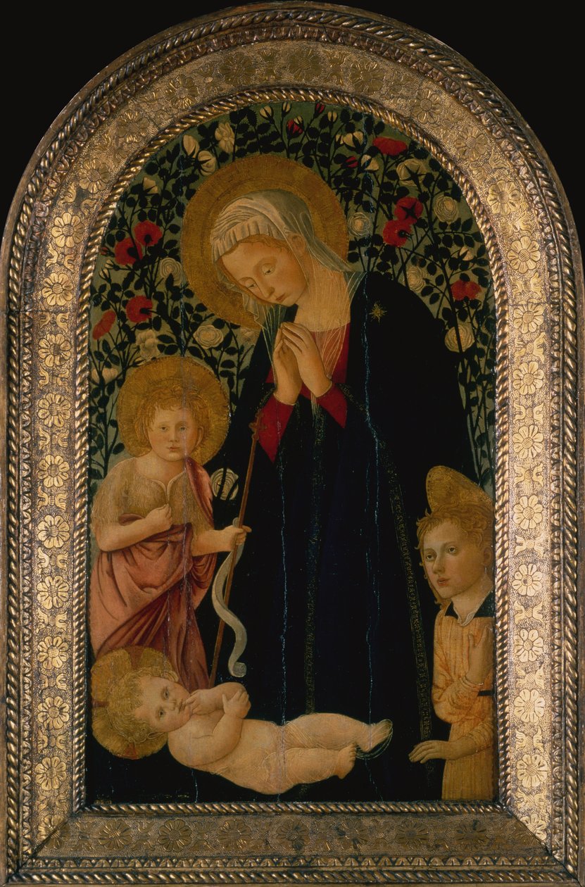 Madonnaen som tilber barnet med spedbarnet Døperen Johannes, Angel og Rose Hedge bak (tempera på panel) av Pier Francesco Fiorentino