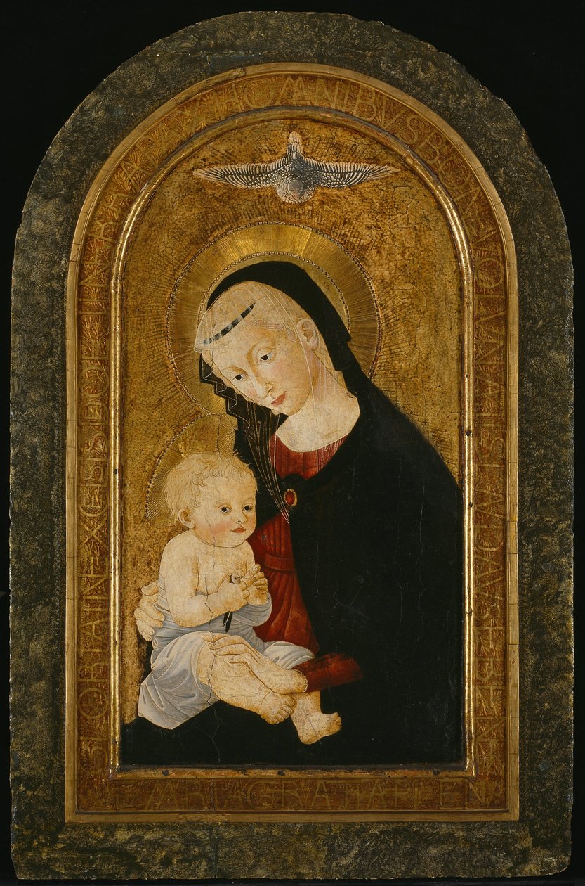  av Pier Francesco Fiorentino