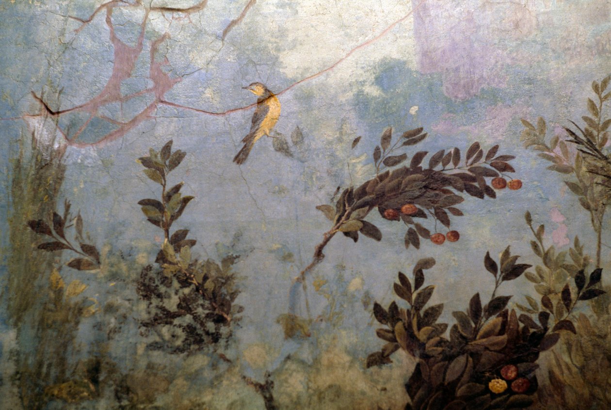 Fugl, detalj fra en freske som viser en hage med trær og fugler, fra House of Livia på Palatine-høyden, Roma, Italia. romersk sivilisasjon av Blaise Nicolas Le Sueur