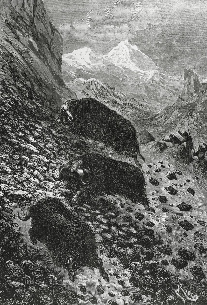 Moskuser, tresnitt av Edouard Riou (1833-1900) av Blaise Nicolas Le Sueur