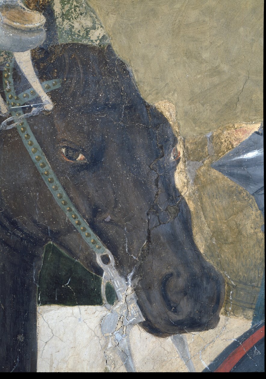 Legenden om det sanne kors, Konstantins seier i slaget ved Milvian Bridge, detalj av hestehodet, ferdigstilt freskomaleri fra 1464, se også 116343 av Piero della Francesca