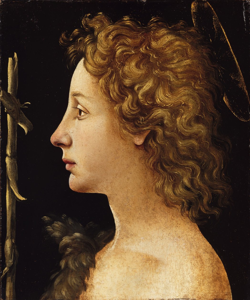 Den unge døperen Johannes (tempera og olje på tre) av Piero di Cosimo