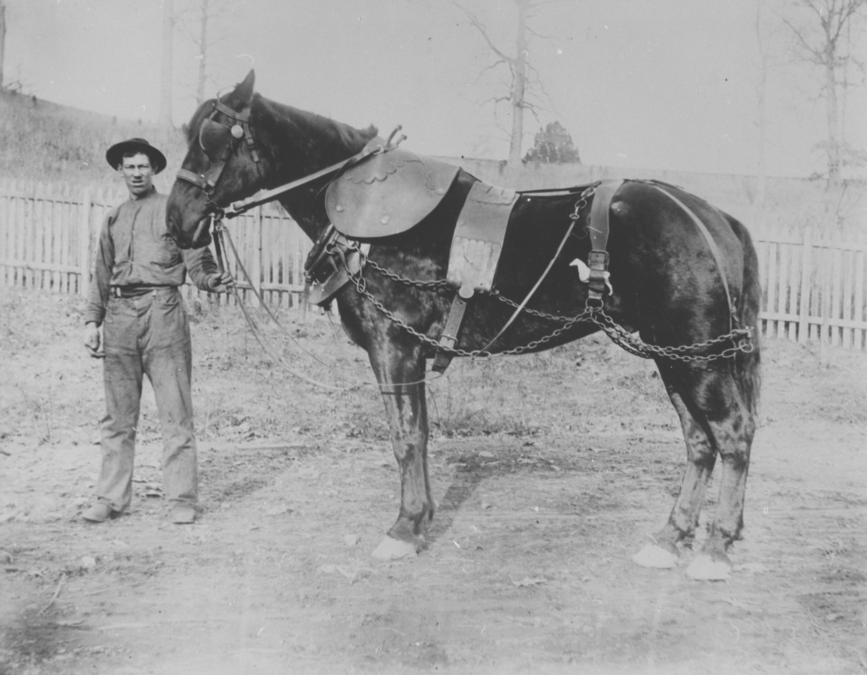 Donohoe (ukjent fornavn) og hesten hans av Pierre A. Gentieu