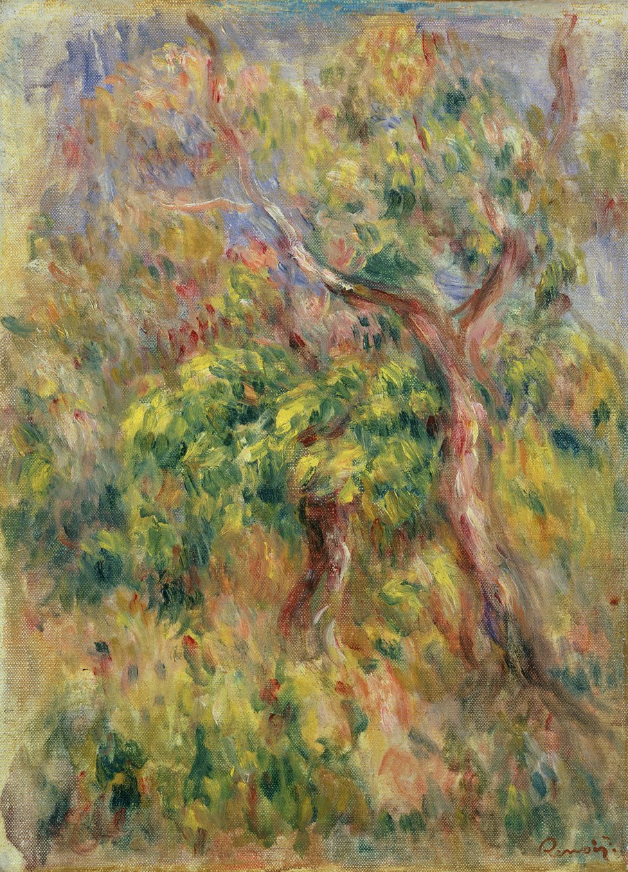 Trær, 1915-16 av Pierre Auguste Renoir
