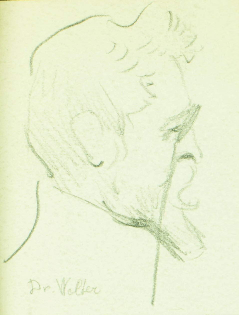 Dr. Welter av Pierre Blanc