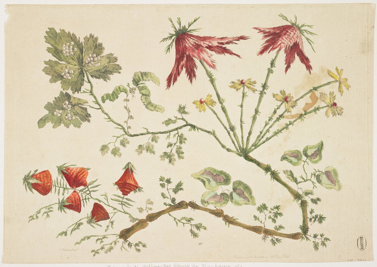 Ornament, Chinoiserie, Blomster, 30. juni 1760 (farget etsning) av Pierre Charles Canot