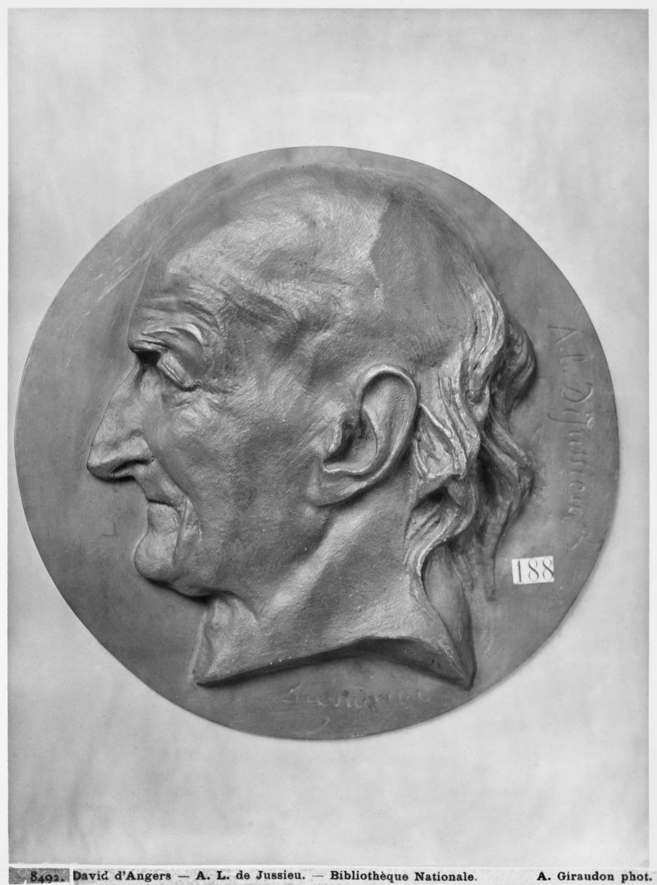 Antoine Laurent de Jussieu (bronse) av Pierre Jean David d