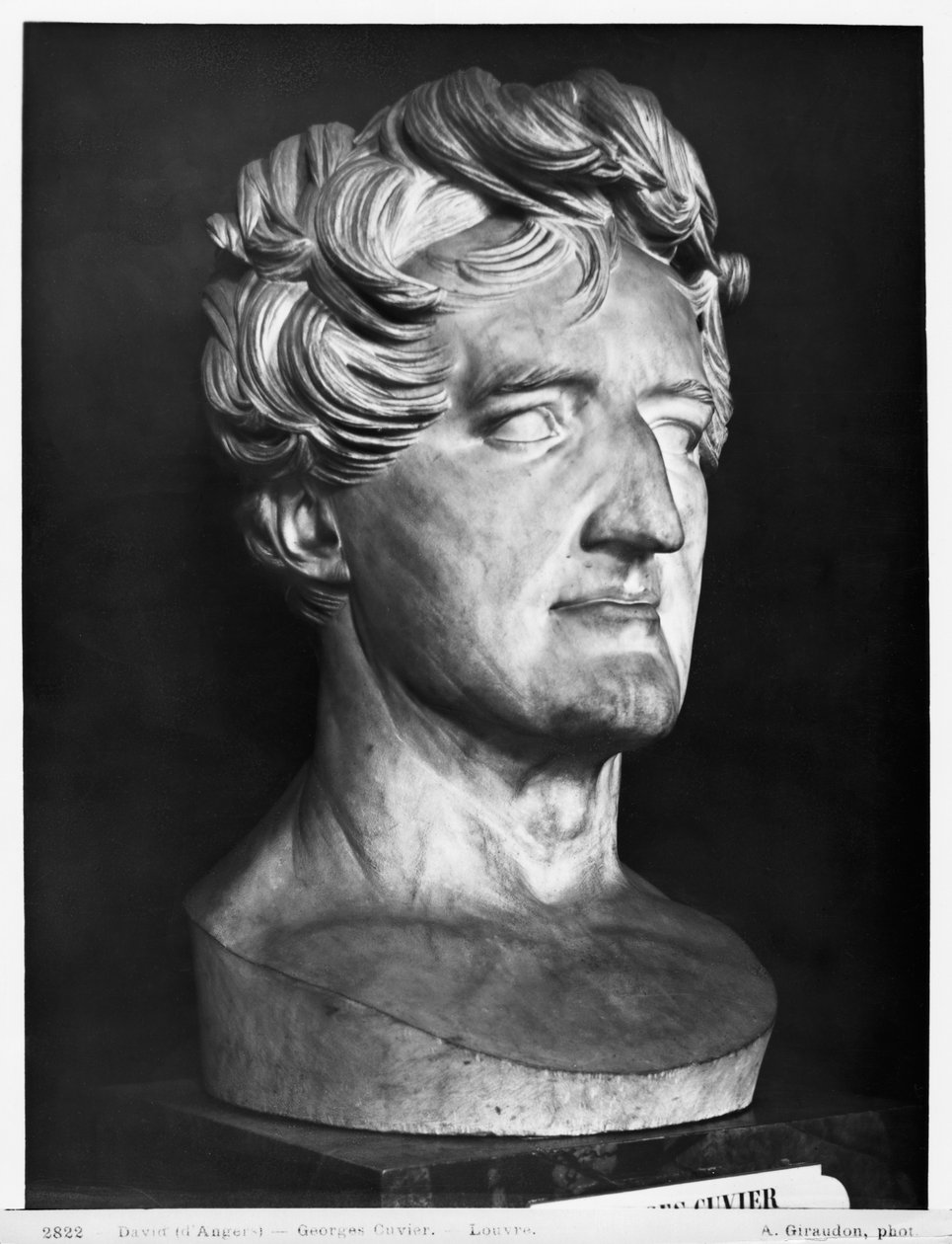 Georges Cuvier, 1833 (marmor) av Pierre Jean David d