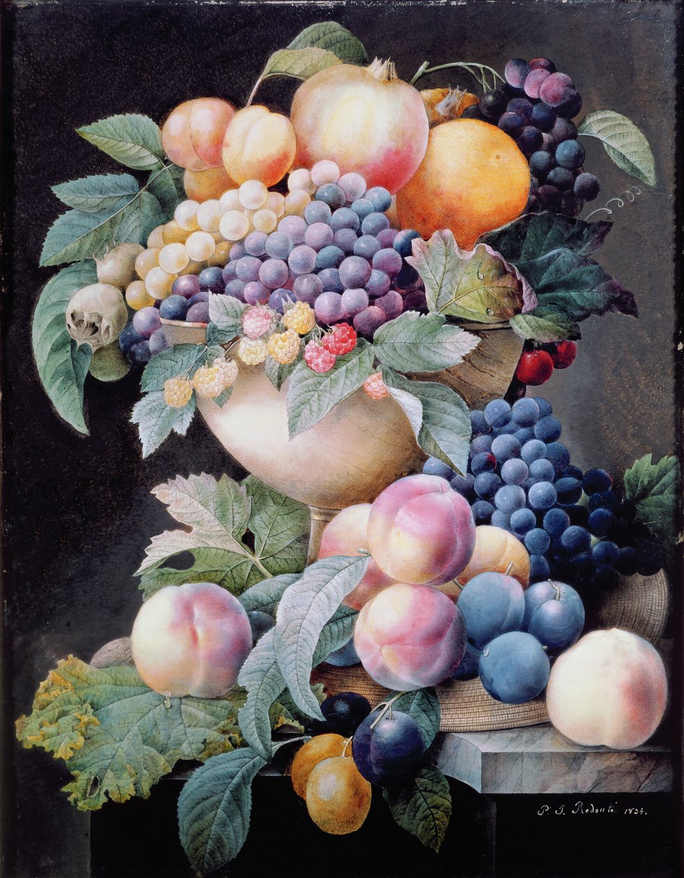 Frukt av Pierre Joseph Redouté