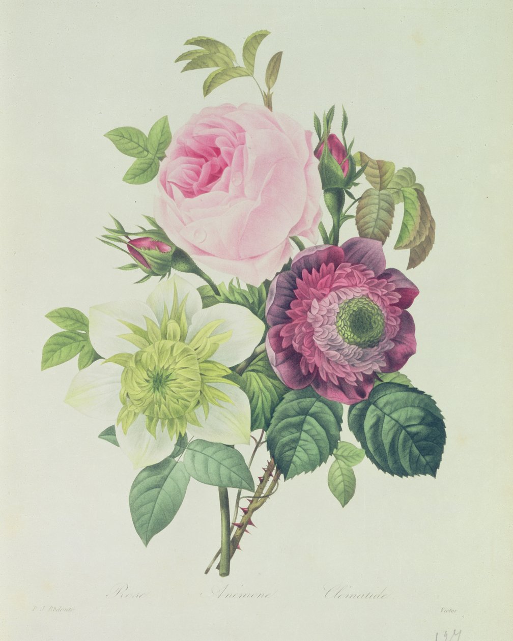 Rose, anemone og Clematide, fra 