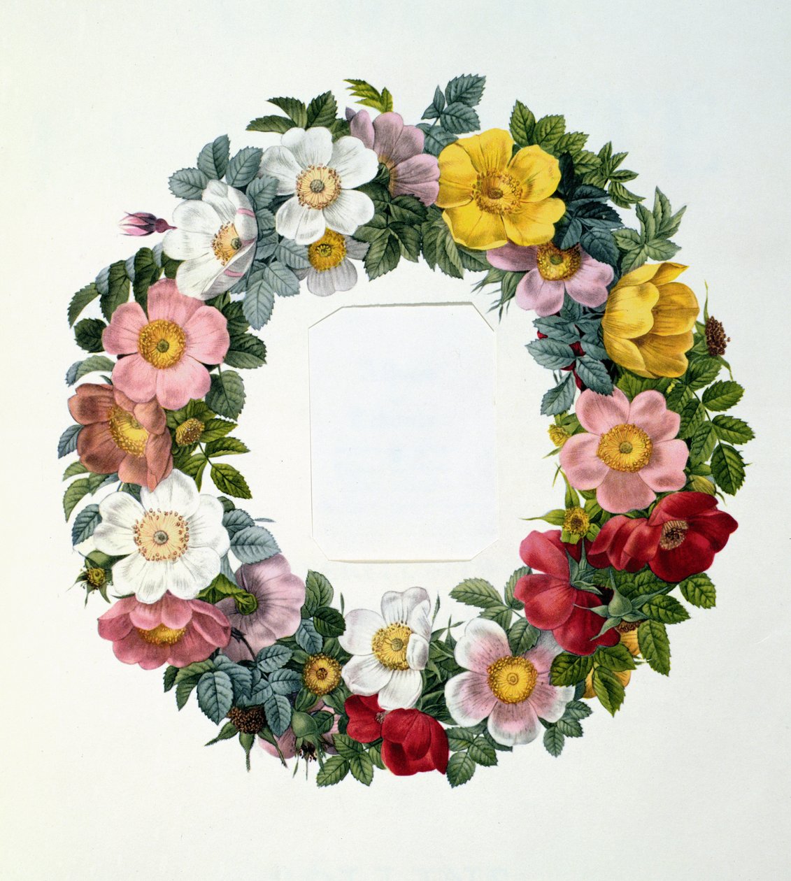 Wreath of Roses, Frontispice for 