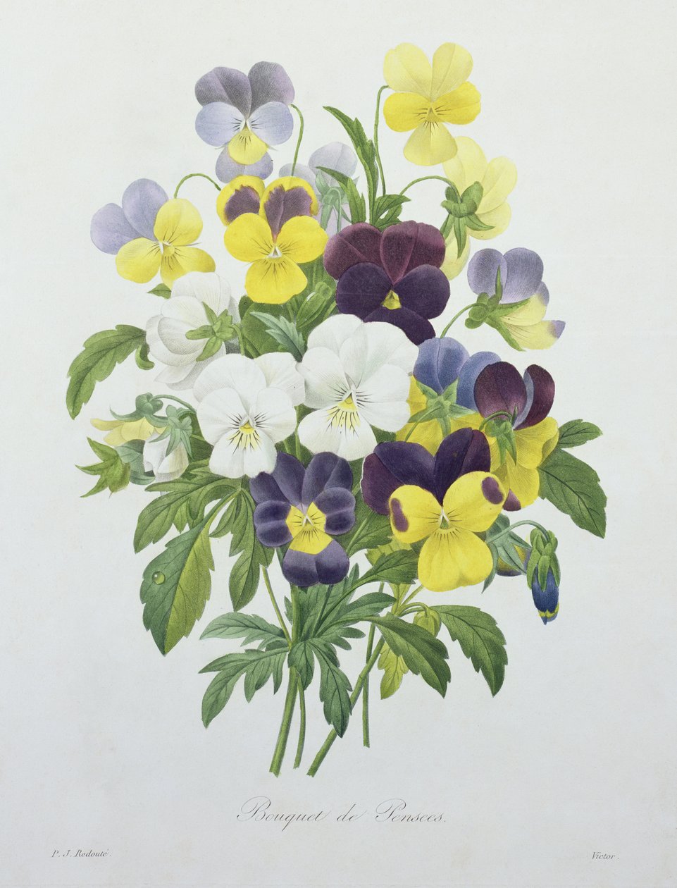 Bukett med stemorsblomster, gravert av Victor, fra 