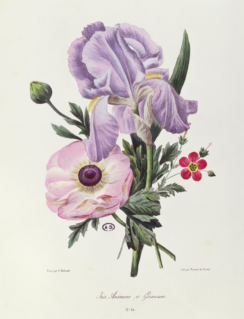 Iris, anemone og geranium, gravert av Pointel du Portail, ca. 1830 av Pierre Joseph Redouté