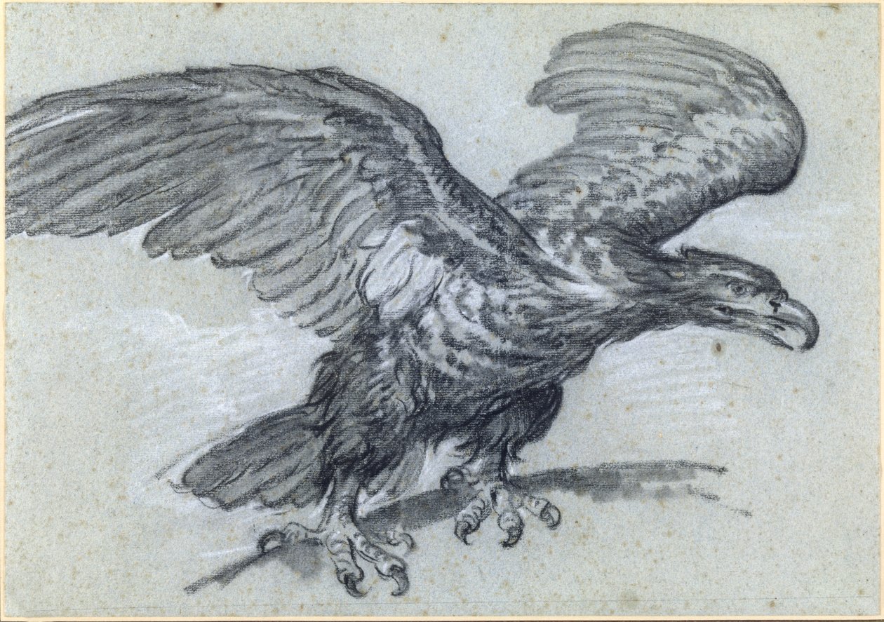En ørn, 1811 av Pierre Paul Prudhon