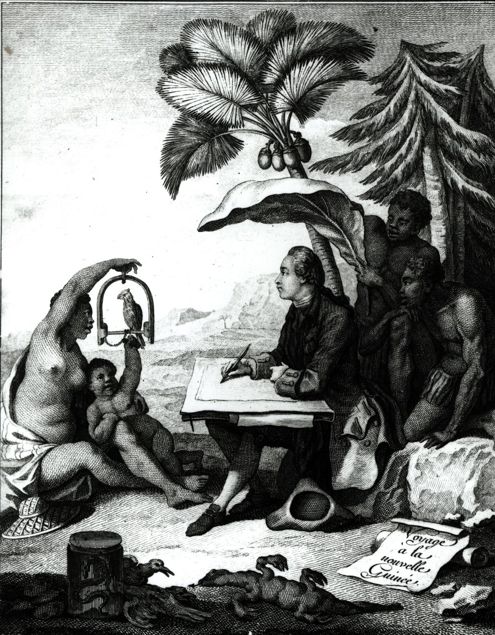 Pierre Sonnerat Drawing a Bird, fra 'Voyage a la Nouvelle-Guinee', gravert av Marie Therese Martinet (f.1731) 1776 av Pierre Sonnerat