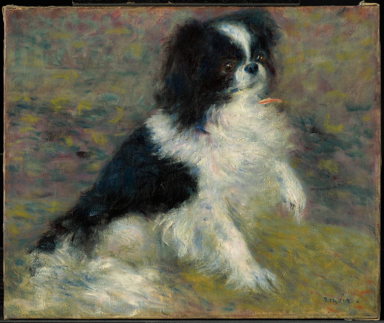 Tama, den japanske hunden av Pierre-Auguste Renoir