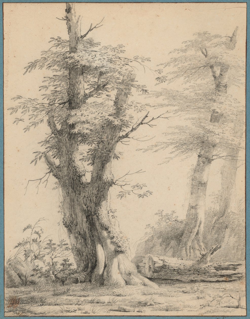 En gruppe trær av Pierre-Henri de Valenciennes