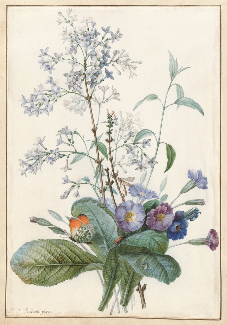 En bukett blomster med insekter av Pierre Joseph Redouté
