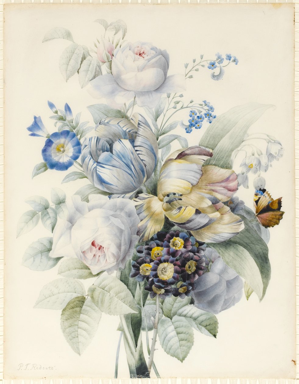 En haug med blomster inkludert roser, papegøyetulpaner, forglemmegei, snøfnugg, Auricula og Ipomoea med en imaginær sommerfugl (grafitt og wc med gummi arabisk og kroppsfarge over grafitt på vellum) av Pierre Joseph Redouté