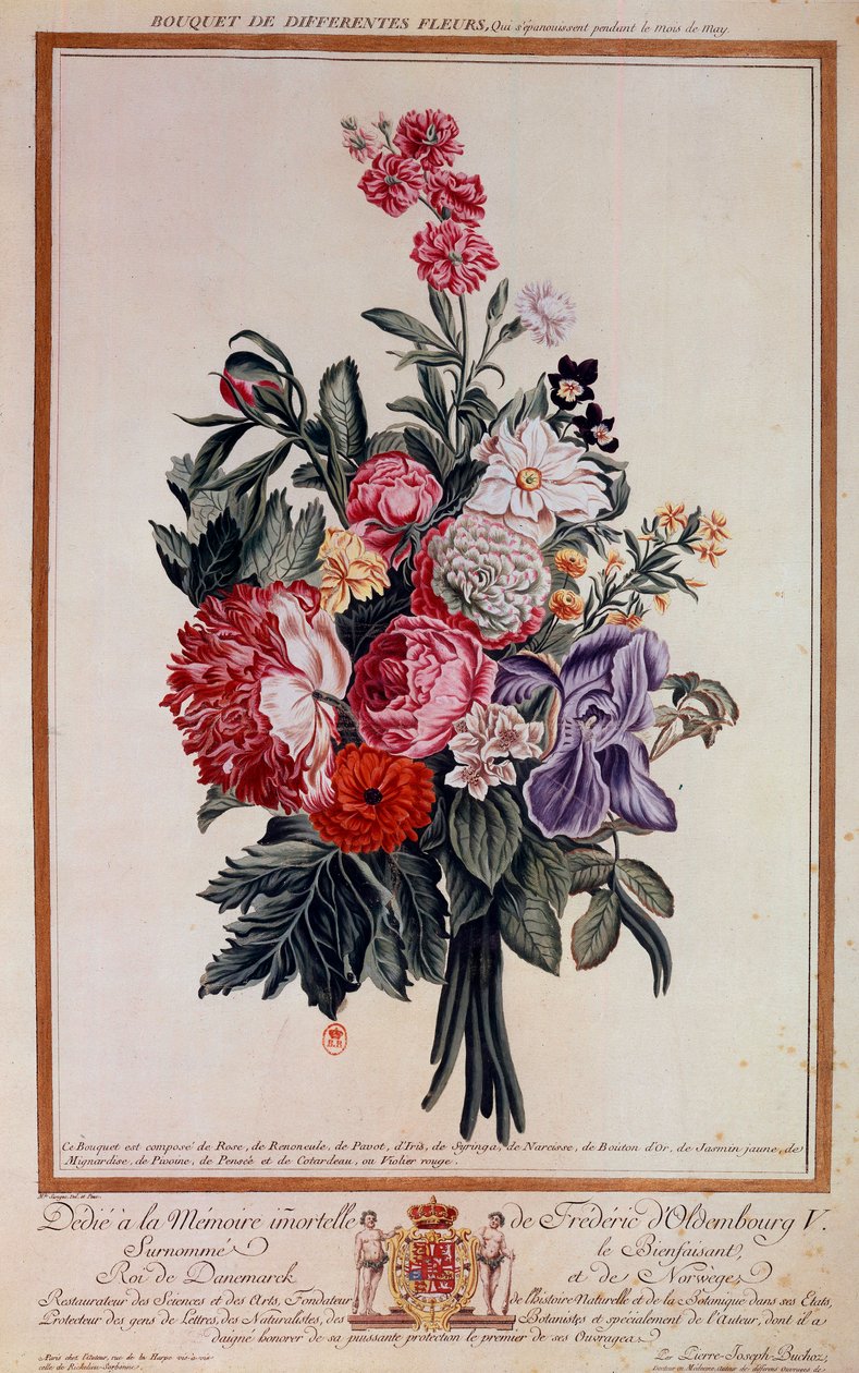 Bukett med blomster melange Litografi av Pierre Joseph av Pierre Joseph Buchoz