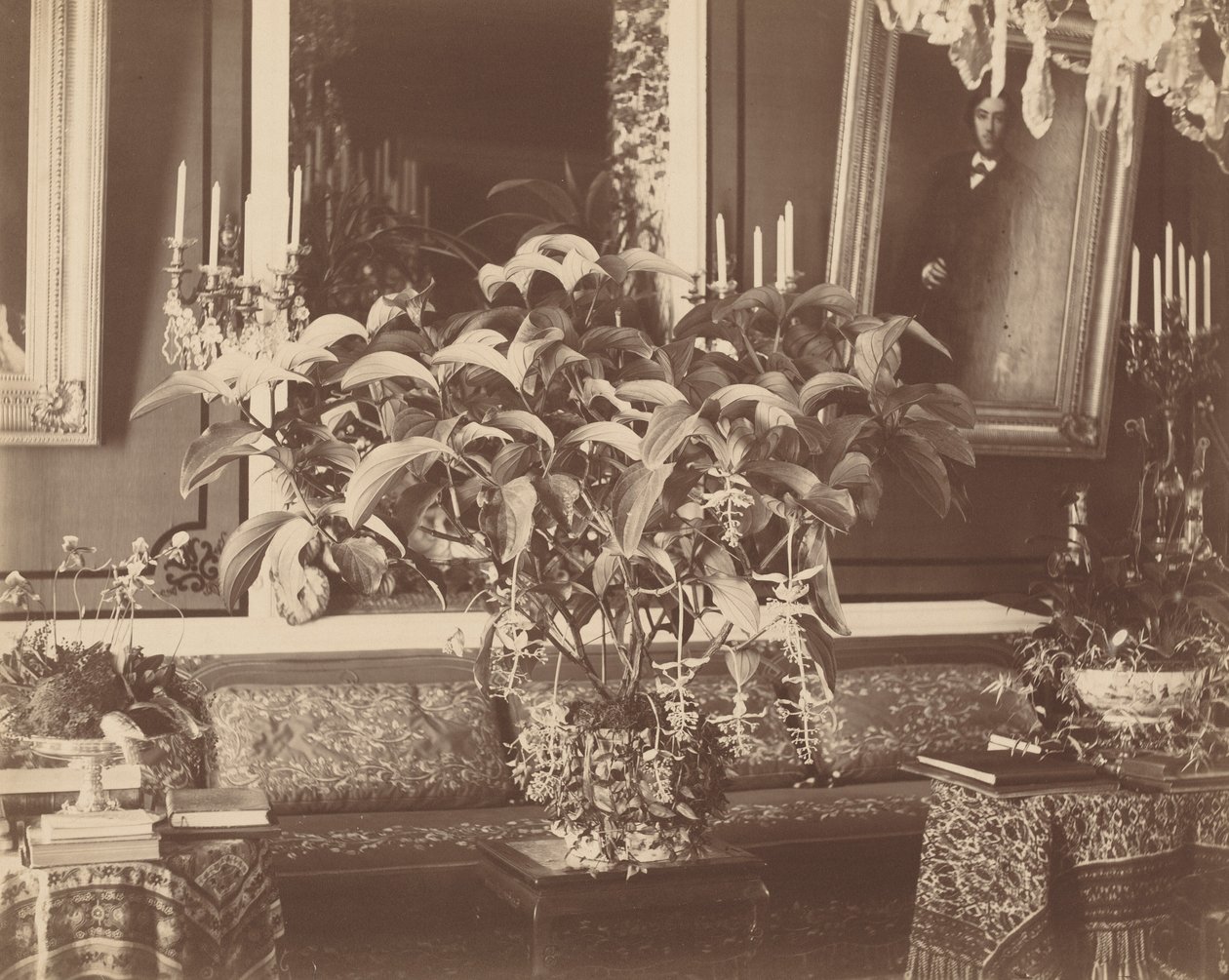  av Pierre Ambroise Richebourg