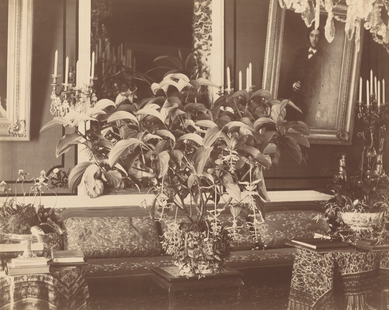 Interiør, 1860-tallet. av Pierre Ambrose Richebourg