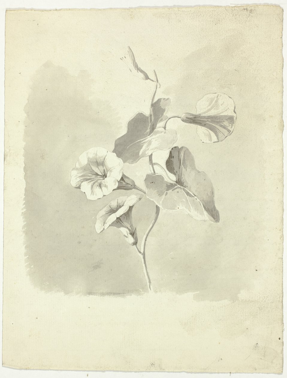  av Pierre Antoine Mongin