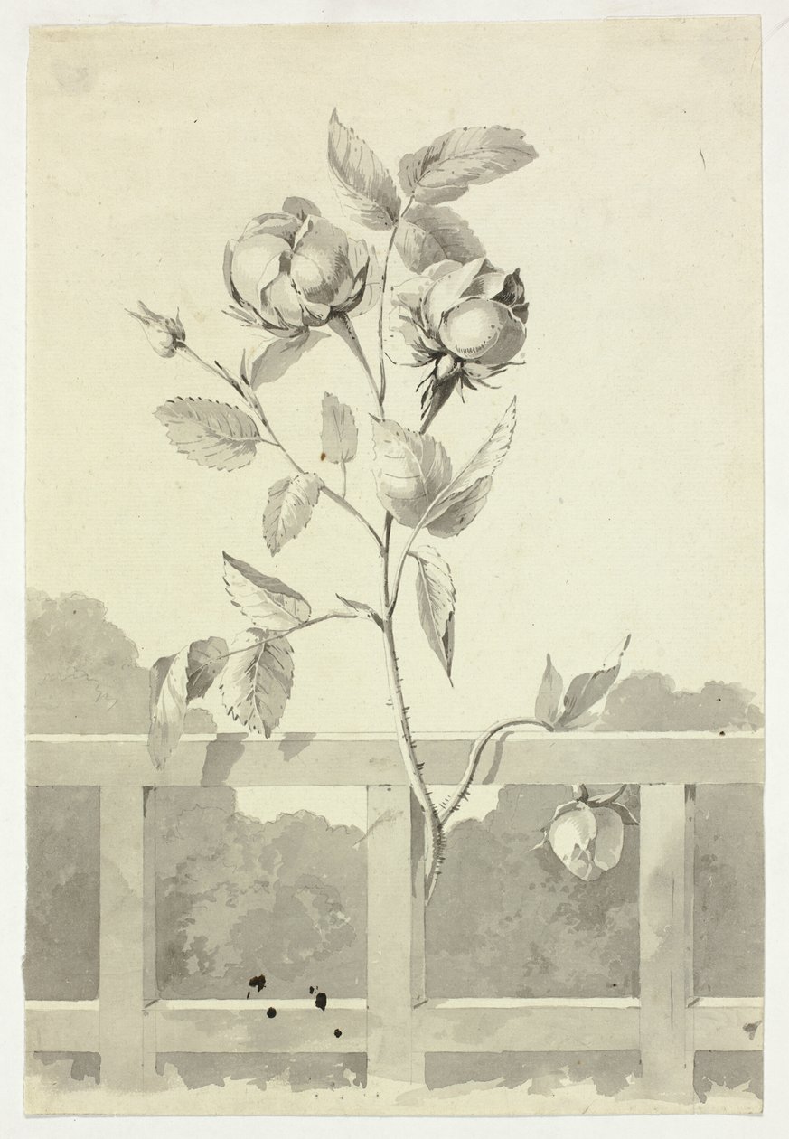  av Pierre Antoine Mongin