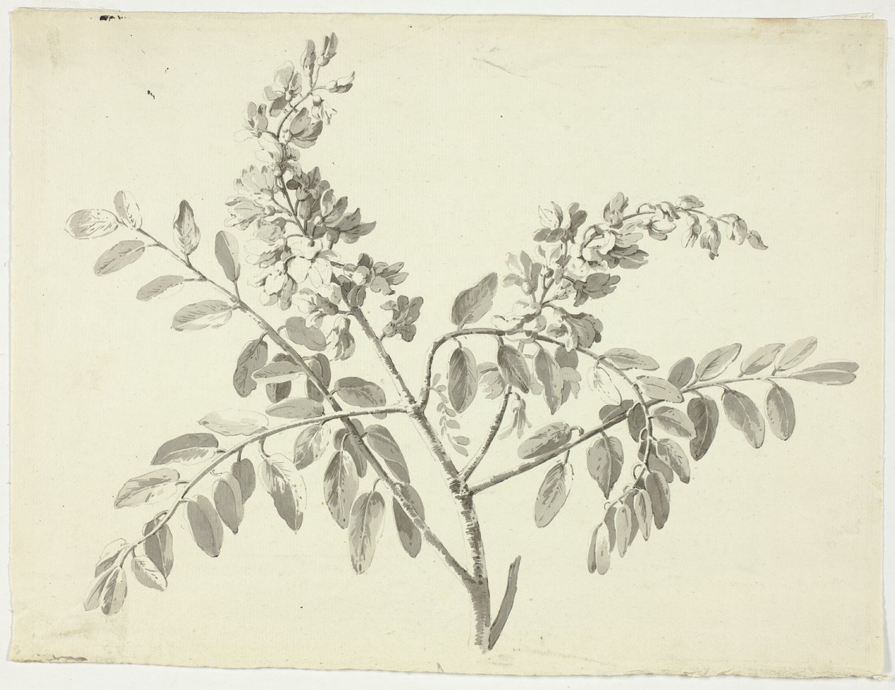  av Pierre Antoine Mongin