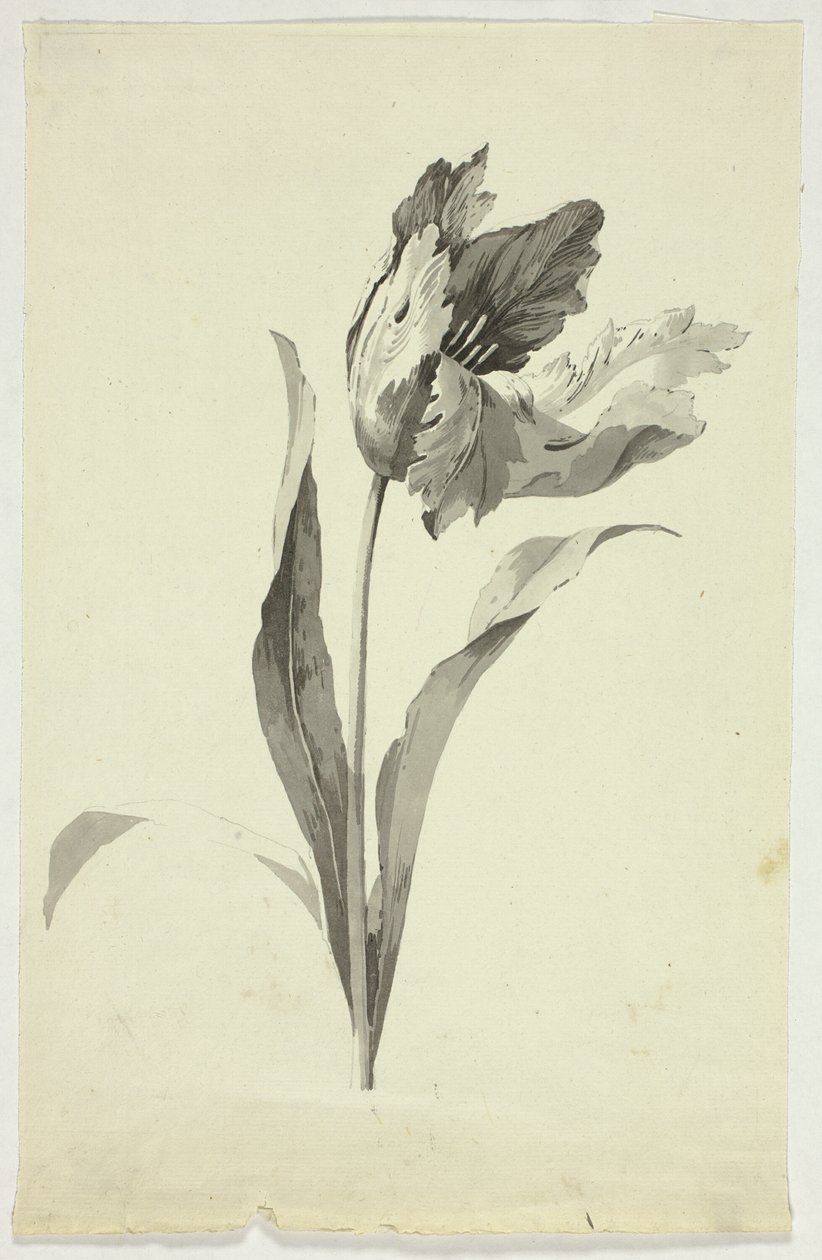 av Pierre Antoine Mongin
