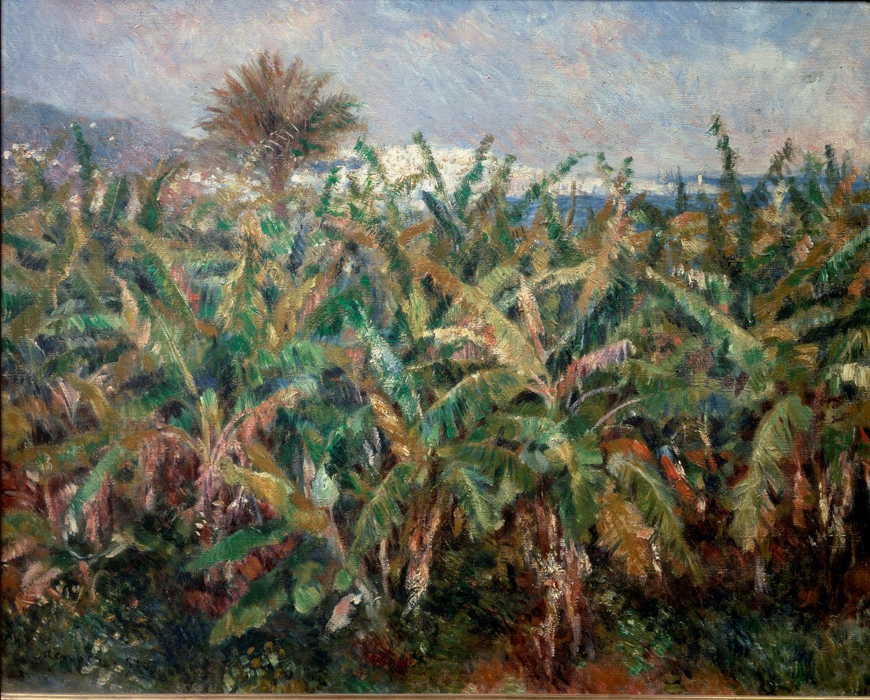 Bananfelt av Pierre Auguste Renoir