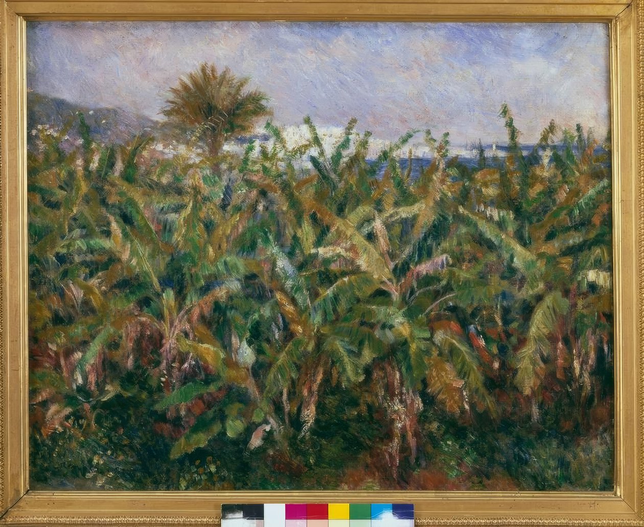 Bananfelt av Pierre Auguste Renoir