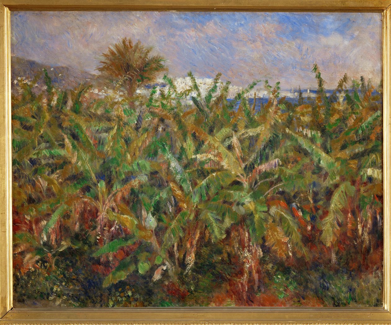 Bananåkre (olje på lerret) av Pierre Auguste Renoir