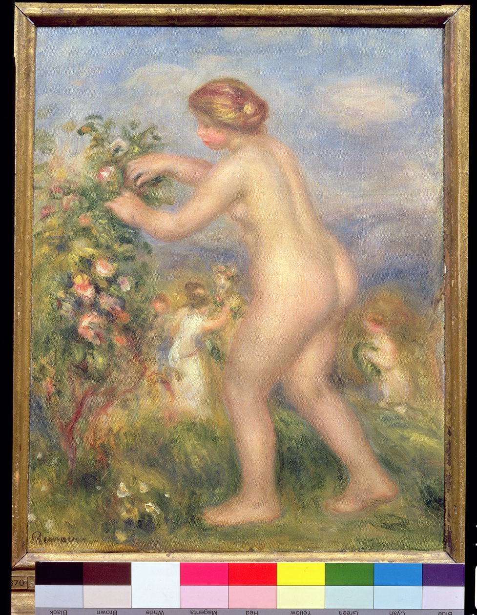 Naken kvinne plukker blomster av Pierre Auguste Renoir